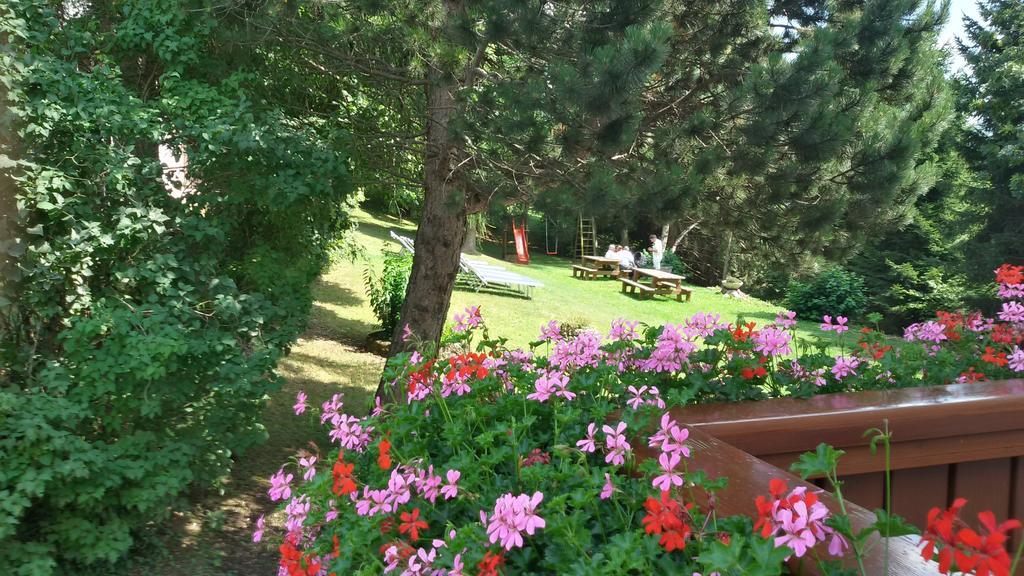 פולגריה Hotel Trentino מראה חיצוני תמונה